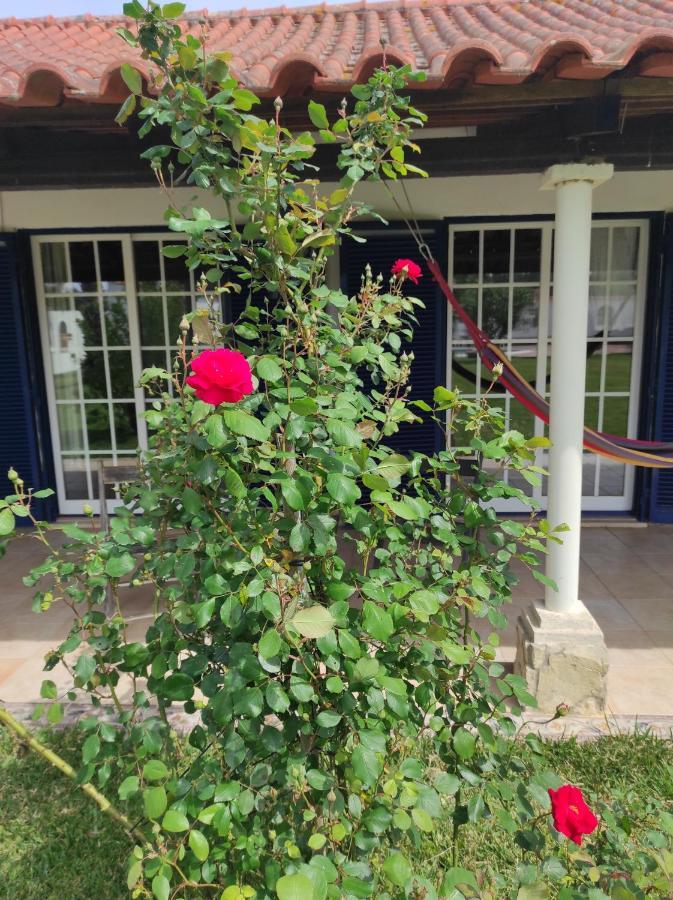 Fazenda Do Marante Hostel Tomar Buitenkant foto